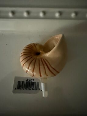 Ceramic Nautilus Shell Accent - Cream with Rust Stripes